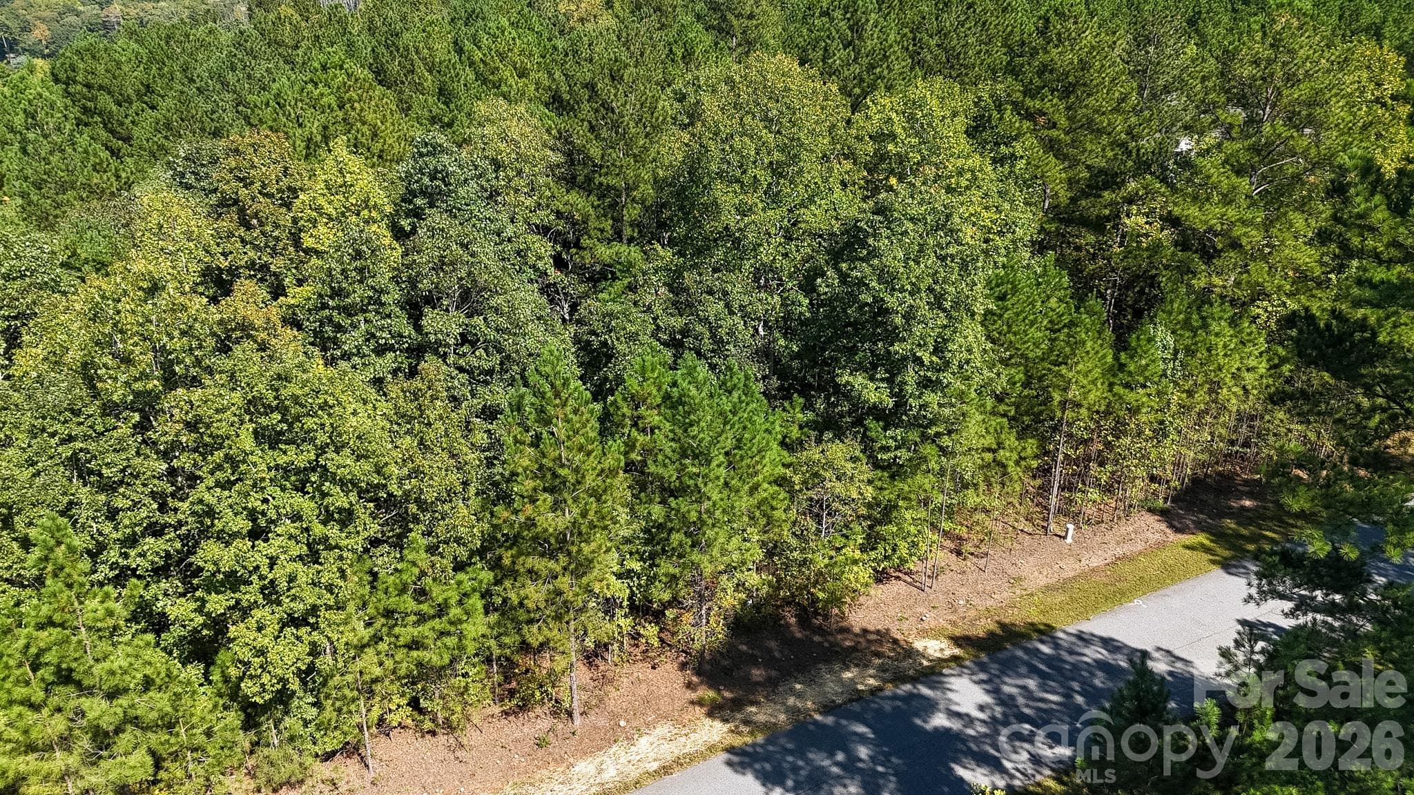 Lot at 3132 Panoramic Vista Court NE, Connelly Springs, photo 15 of 16