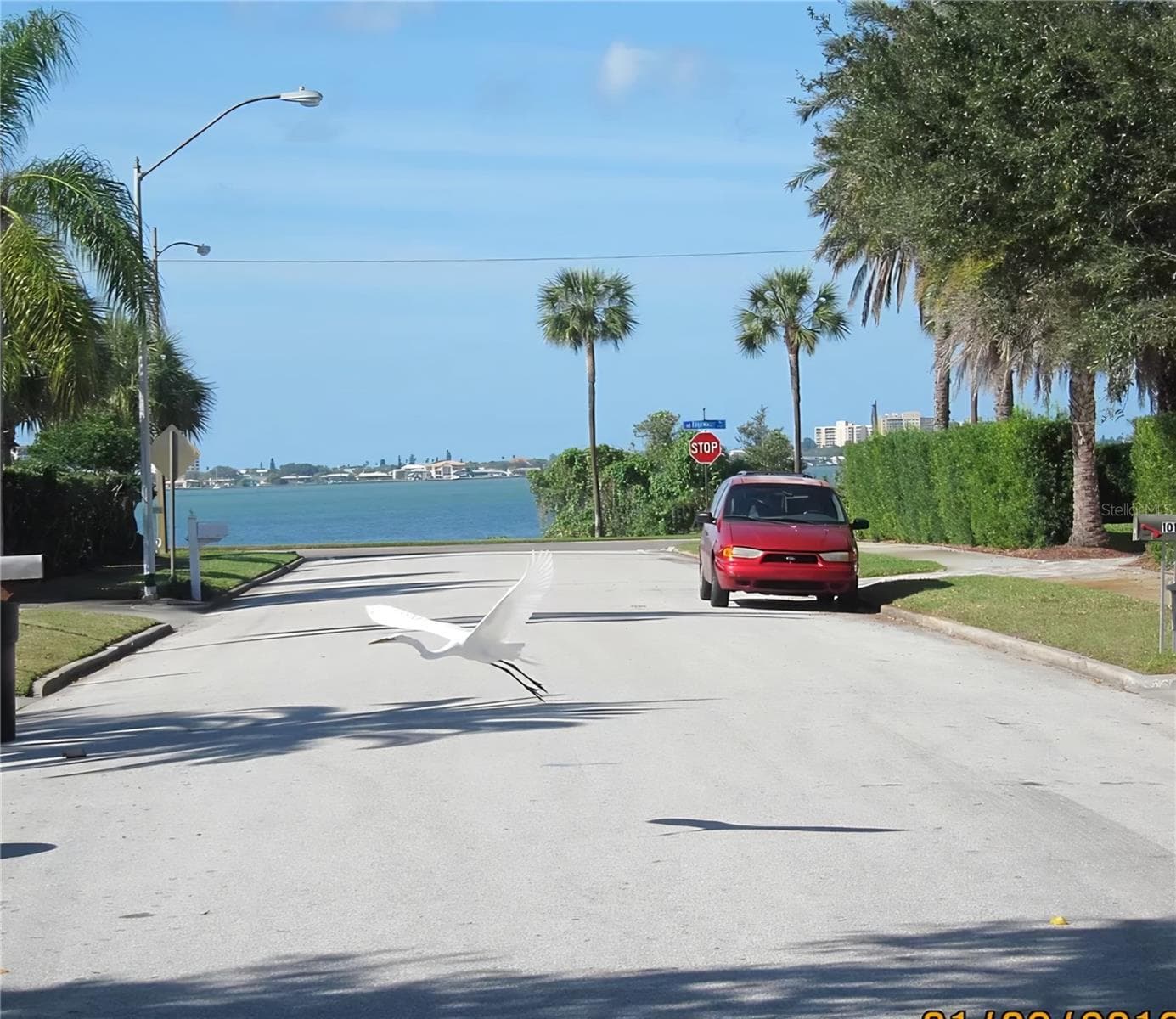 Single Family Residence at 1145 CHARLES ST, CLEARWATER, photo 4 of 44