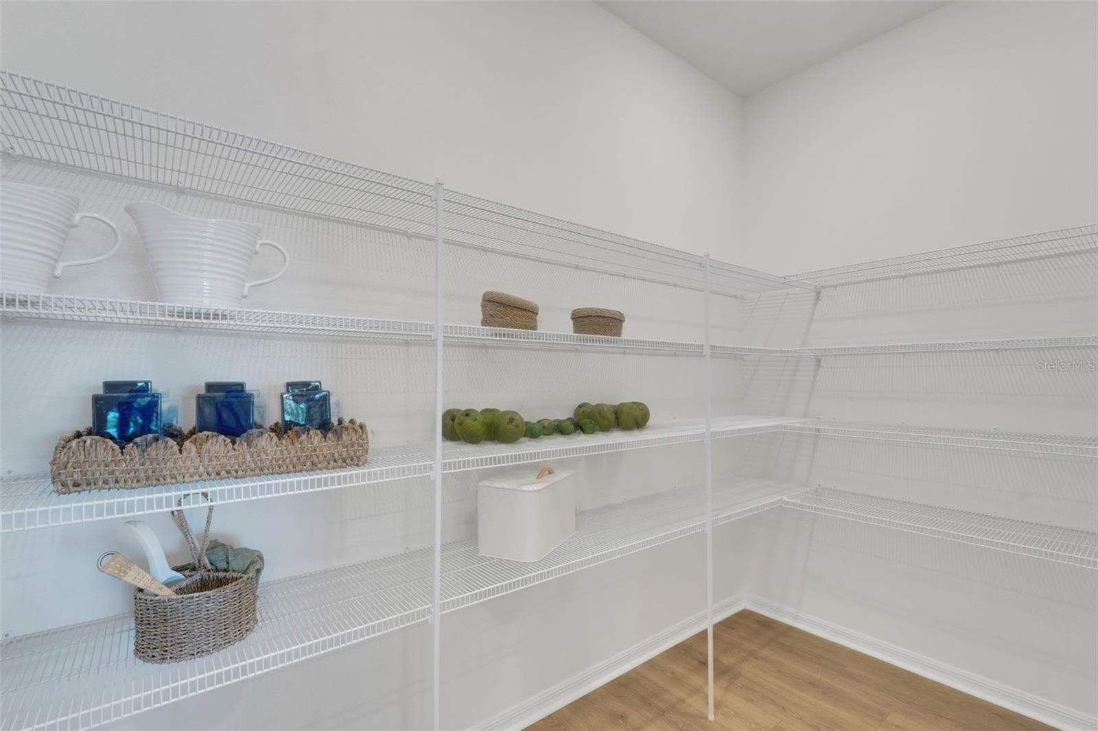 Single Family Residence at 16931 SQUIRREL BRANCH LN, ALVA, photo 10 of 38