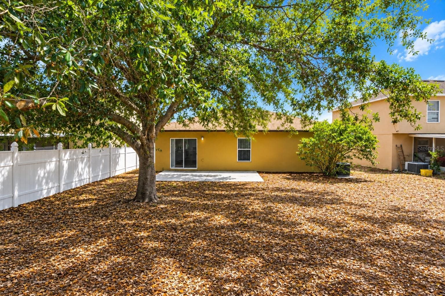 Back Yard - 140 MILESTONE DR, HAINES CITY