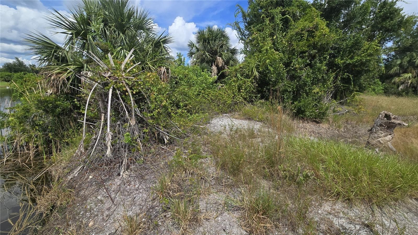 Land at 14153 FRUITPORT CIR, PORT CHARLOTTE, photo 4 of 6