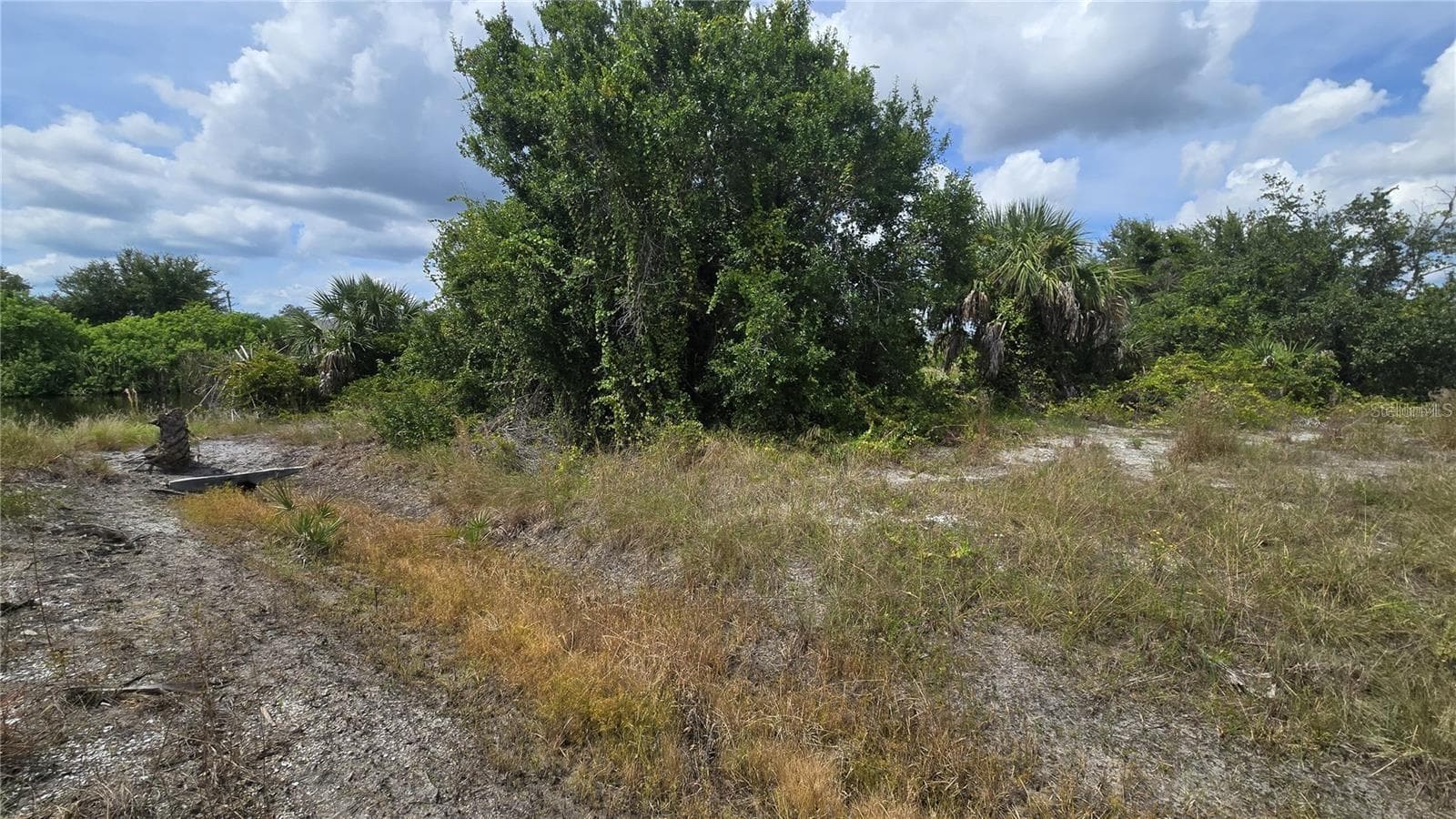 Land at 14153 FRUITPORT CIR, PORT CHARLOTTE, photo 5 of 6