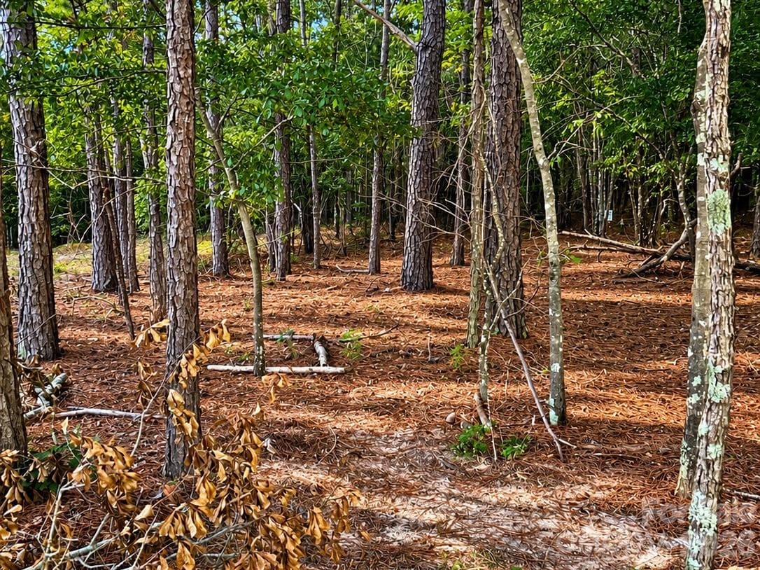 Lot at TBD/Land LOT B SW Beaker Road, Heath Springs, photo 3 of 4