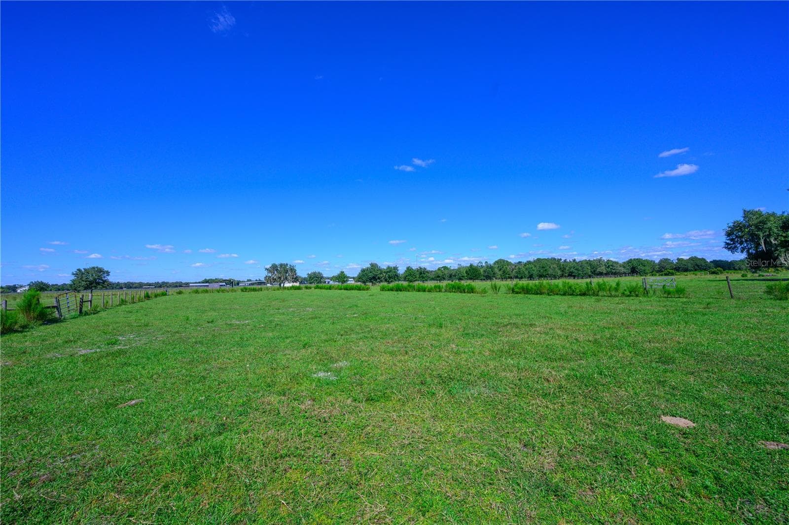Land at 10650 BRENDLE RD, MYAKKA CITY, photo 7 of 25