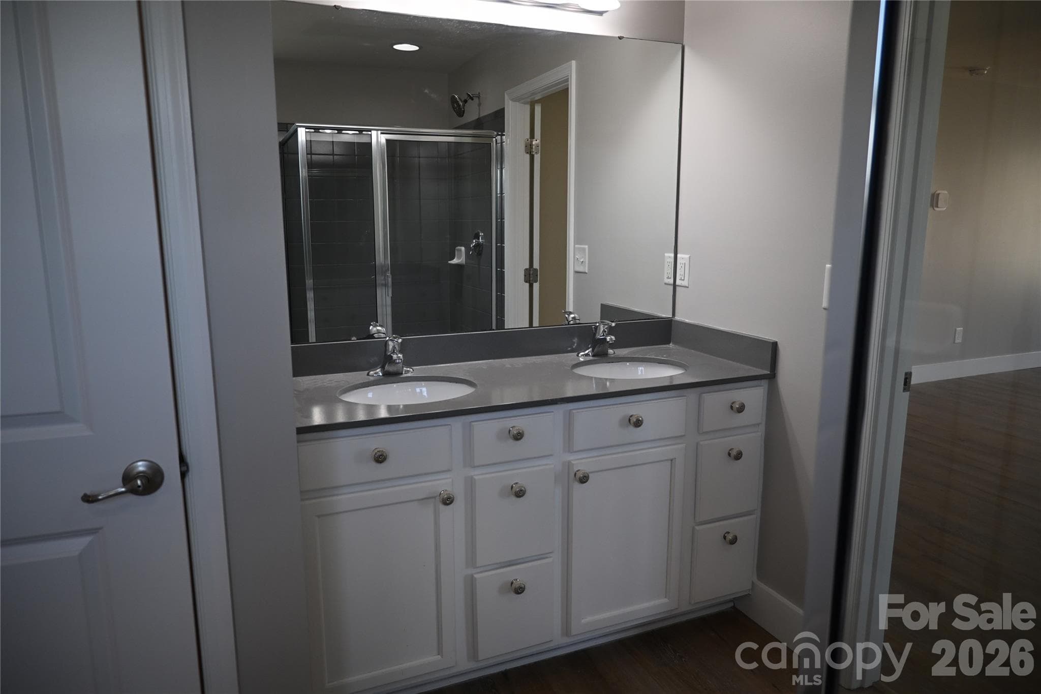 Primary Dual Vanity - 10924 Tailwater Street, Davidson