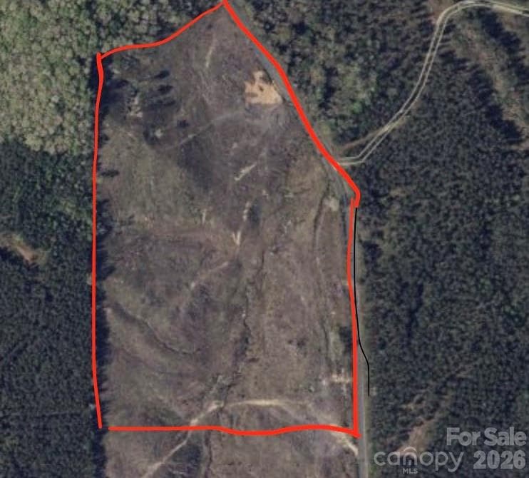 Northern section of the parcel with nice frontage - perimeter is lined with mature trees - growth on parcel is newer and easy to clear if desired - TBD Mingo Road, Heath Springs