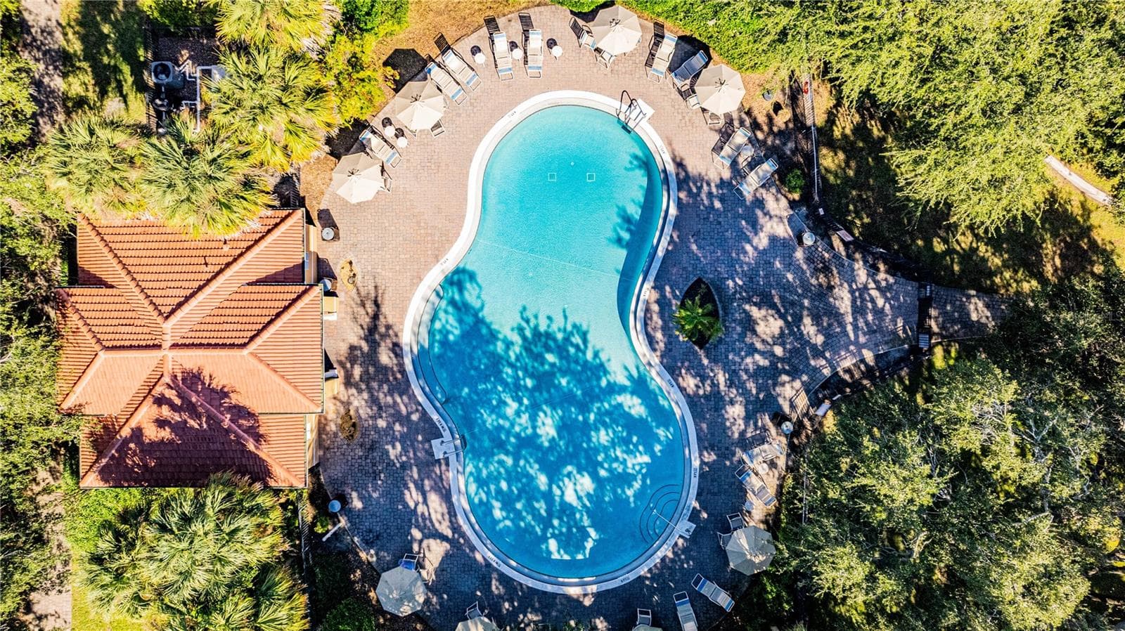 Community pool - 5150 CROWN HAVEN DR, KISSIMMEE