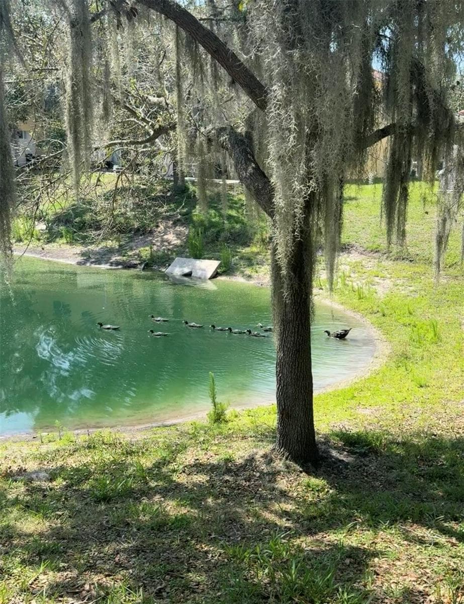 Pond with mature trees and beautiful wild life - 5150 CROWN HAVEN DR, KISSIMMEE