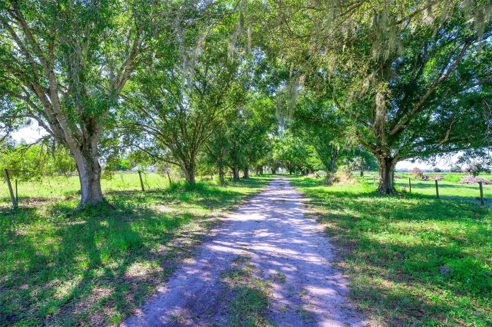 Land at 10650 BRENDLE RD, MYAKKA CITY, photo 3 of 25