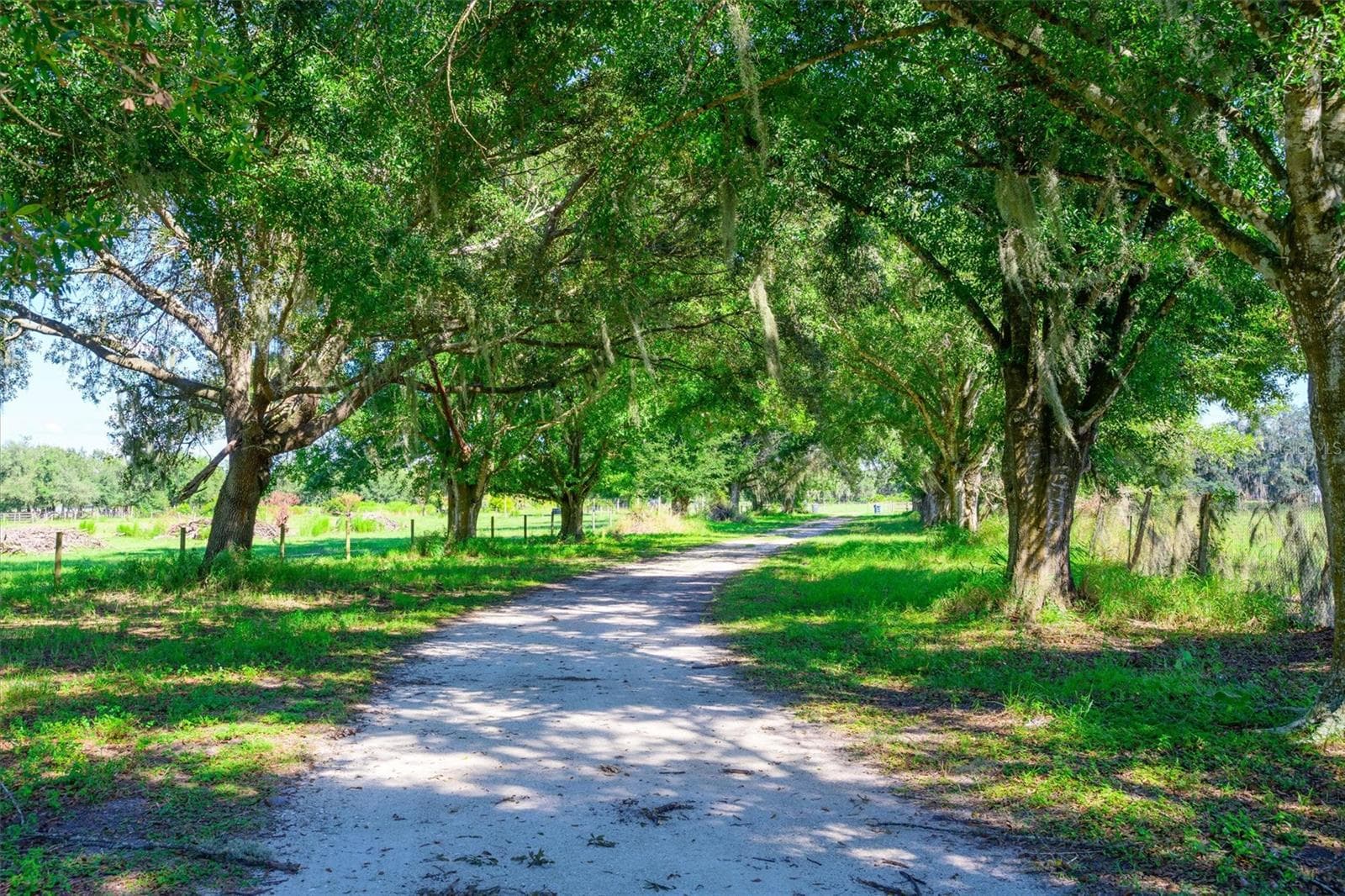 Land at 10650 BRENDLE RD, MYAKKA CITY, photo 4 of 25