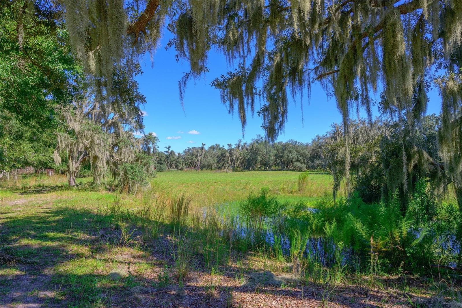Land at 10650 BRENDLE RD, MYAKKA CITY, photo 5 of 25