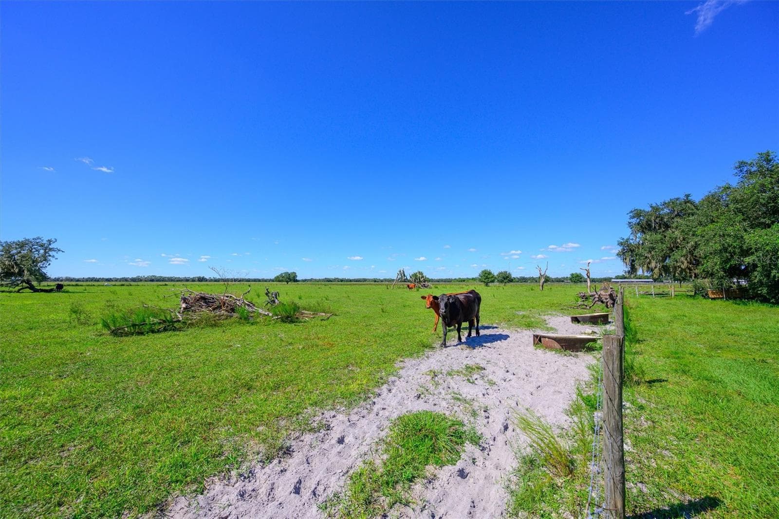 Land at 10650 BRENDLE RD, MYAKKA CITY, photo 8 of 25