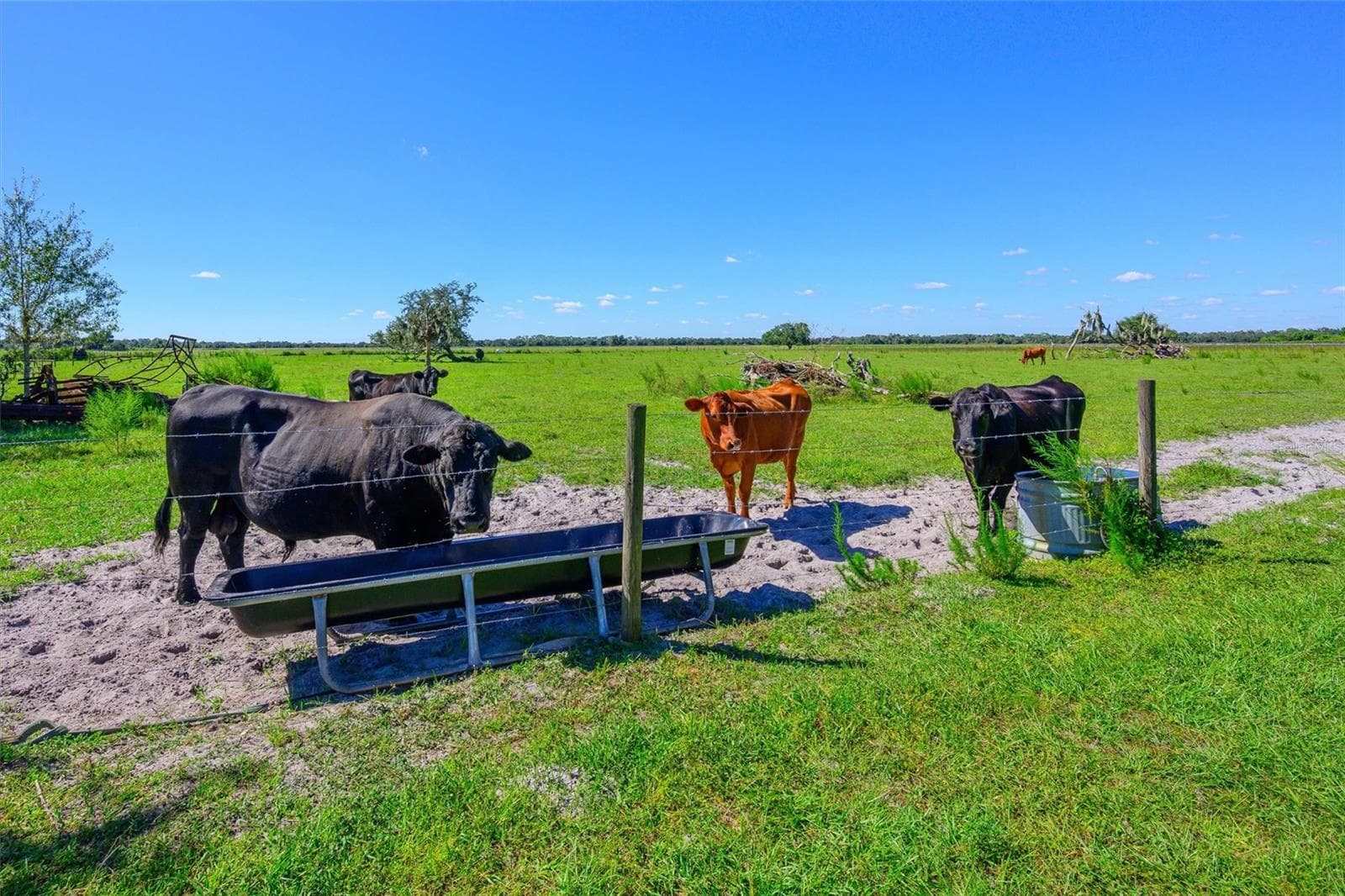Land at 10650 BRENDLE RD, MYAKKA CITY, photo 9 of 25