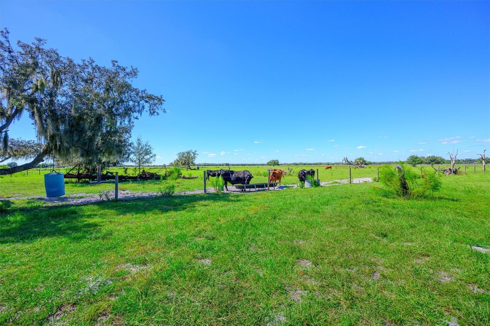 Land at 10650 BRENDLE RD, MYAKKA CITY, photo 10 of 25