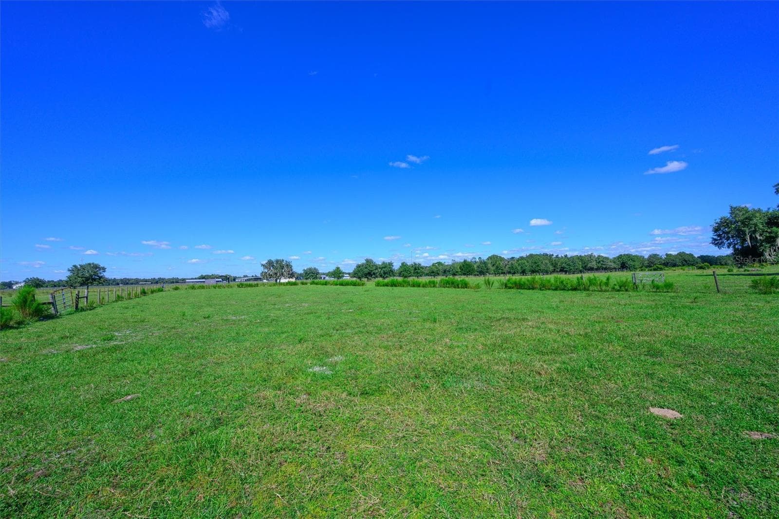 Land at 10650 BRENDLE RD, MYAKKA CITY, photo 12 of 25