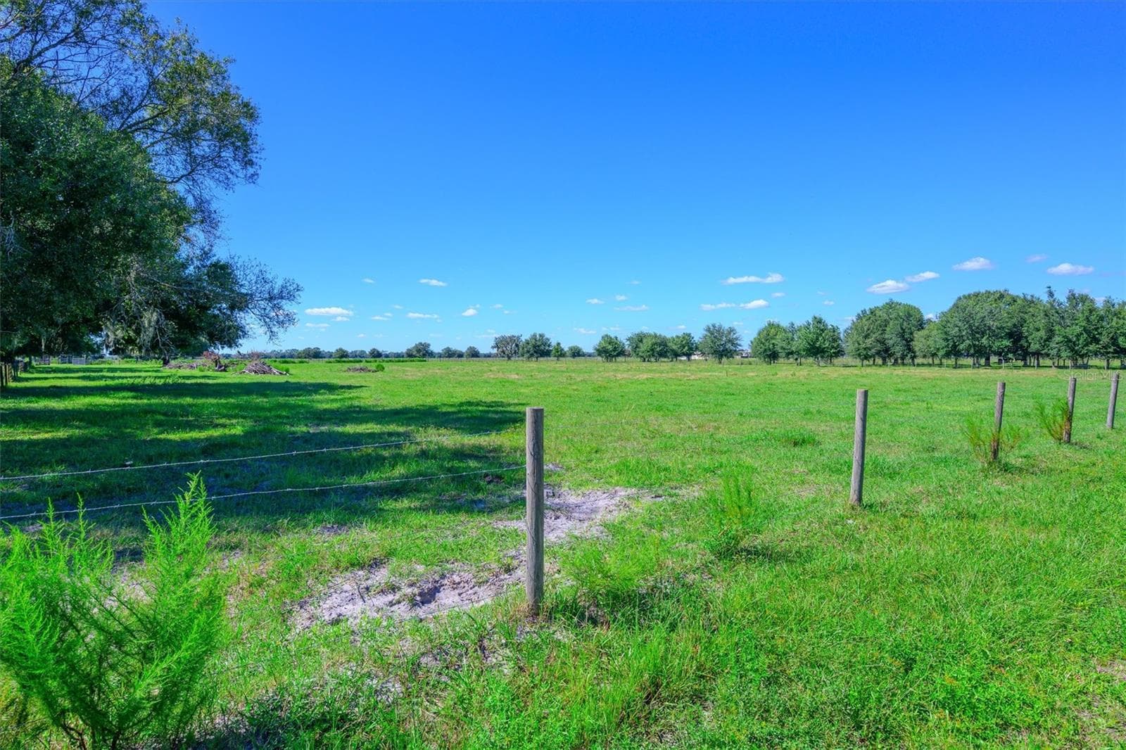 Land at 10650 BRENDLE RD, MYAKKA CITY, photo 13 of 25