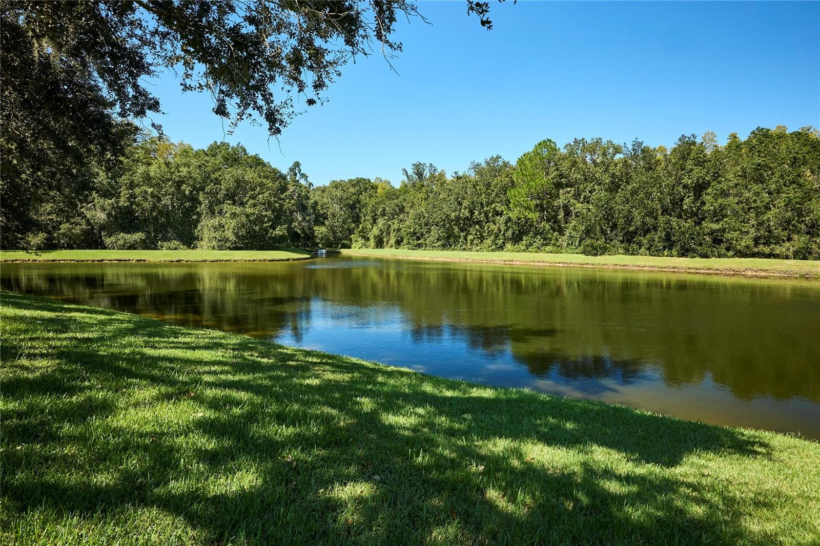 Single Family Residence at 18016 ROYAL FOREST DR, TAMPA, photo 64 of 71
