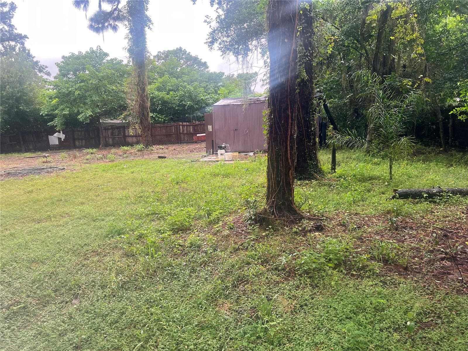 HUGE BACKYARD - 6905 AZLEE AVE, NEW PORT RICHEY