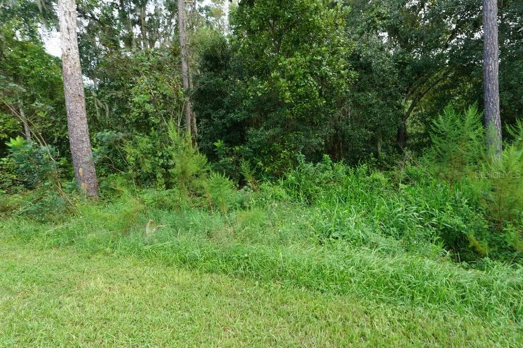 Single Family Residence at 1328 BURNLEY CT, KISSIMMEE, photo 7 of 27