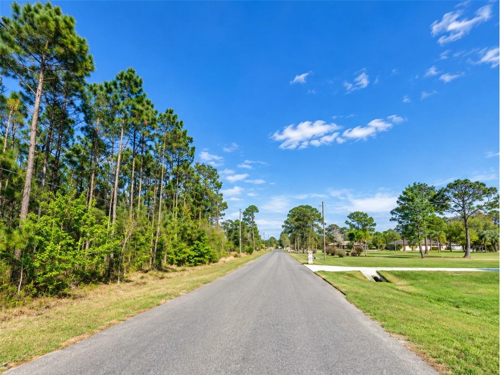 Land at 20607 NEWBY ST, ORLANDO, photo 4 of 8