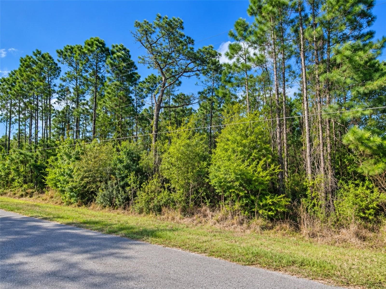 Land at 20607 NEWBY ST, ORLANDO, photo 5 of 8