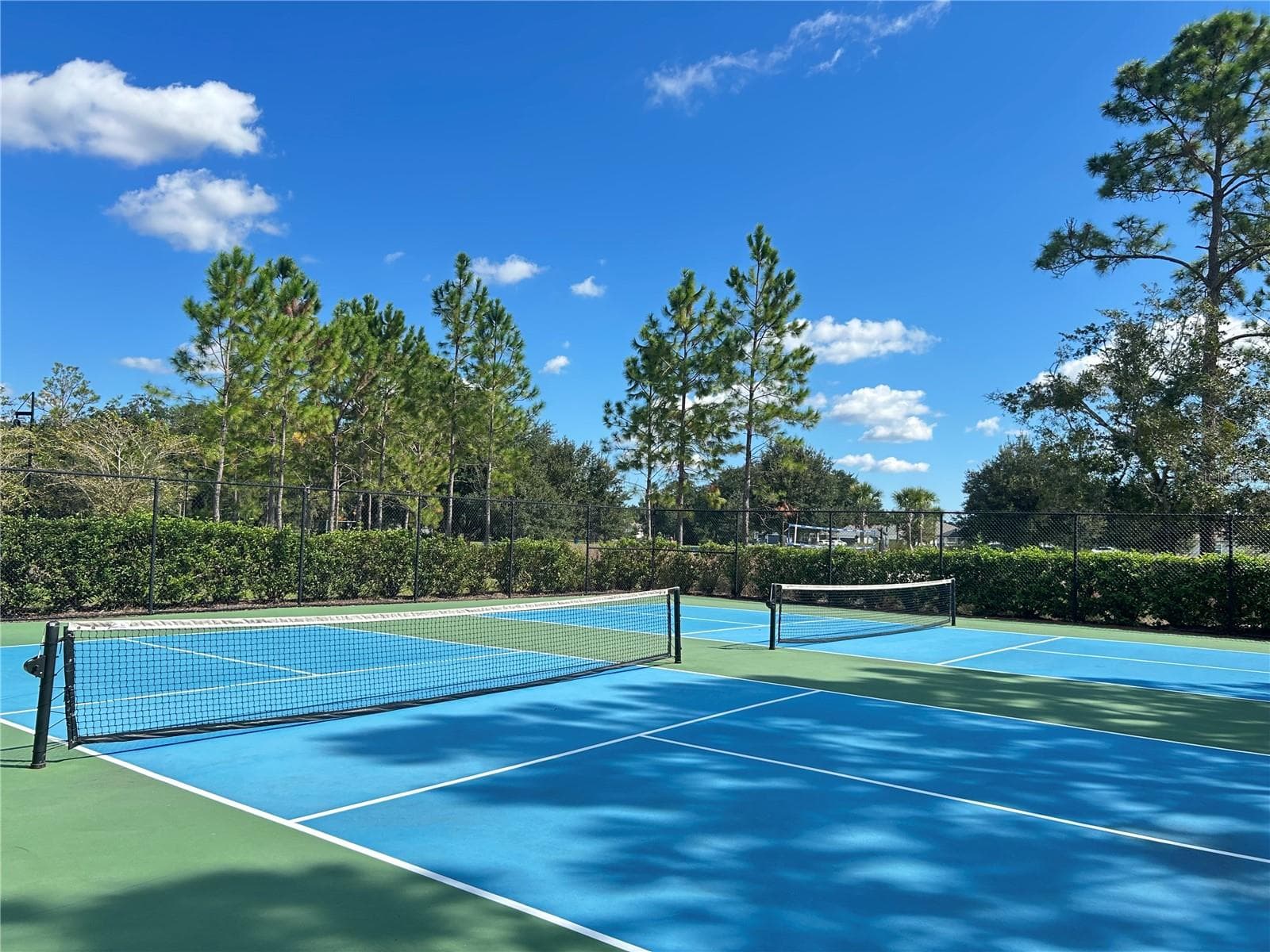 Single Family Residence at 46 OSPREY MILLS LN, ST AUGUSTINE, photo 22 of 47