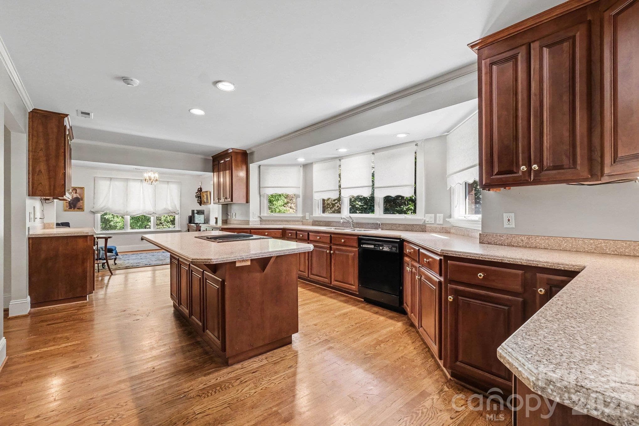 Chef and Baker's dream kitchen with tons of custom cabinets, dual ovens, and expansive countertops for prep and serving space - 746 Grandview Drive NE, Concord