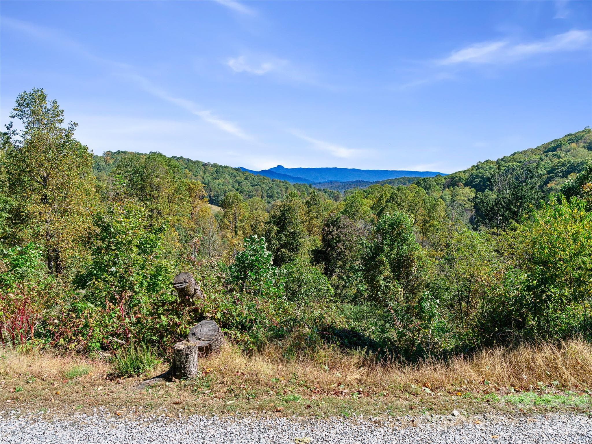 Acreage at TBD Chestnut Grove Road, Spruce Pine, photo 23 of 35
