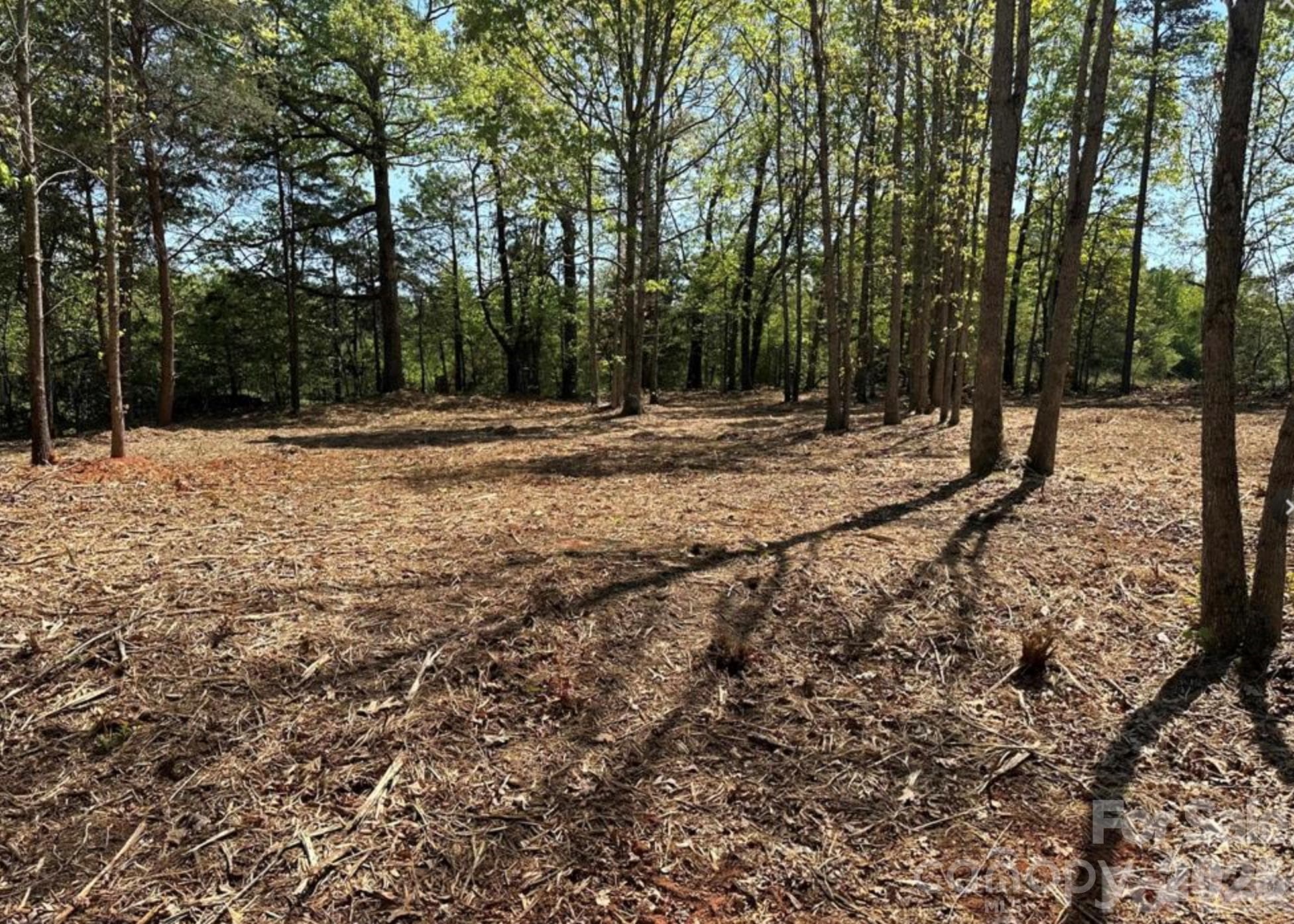 00 Longleaf Pine Drive