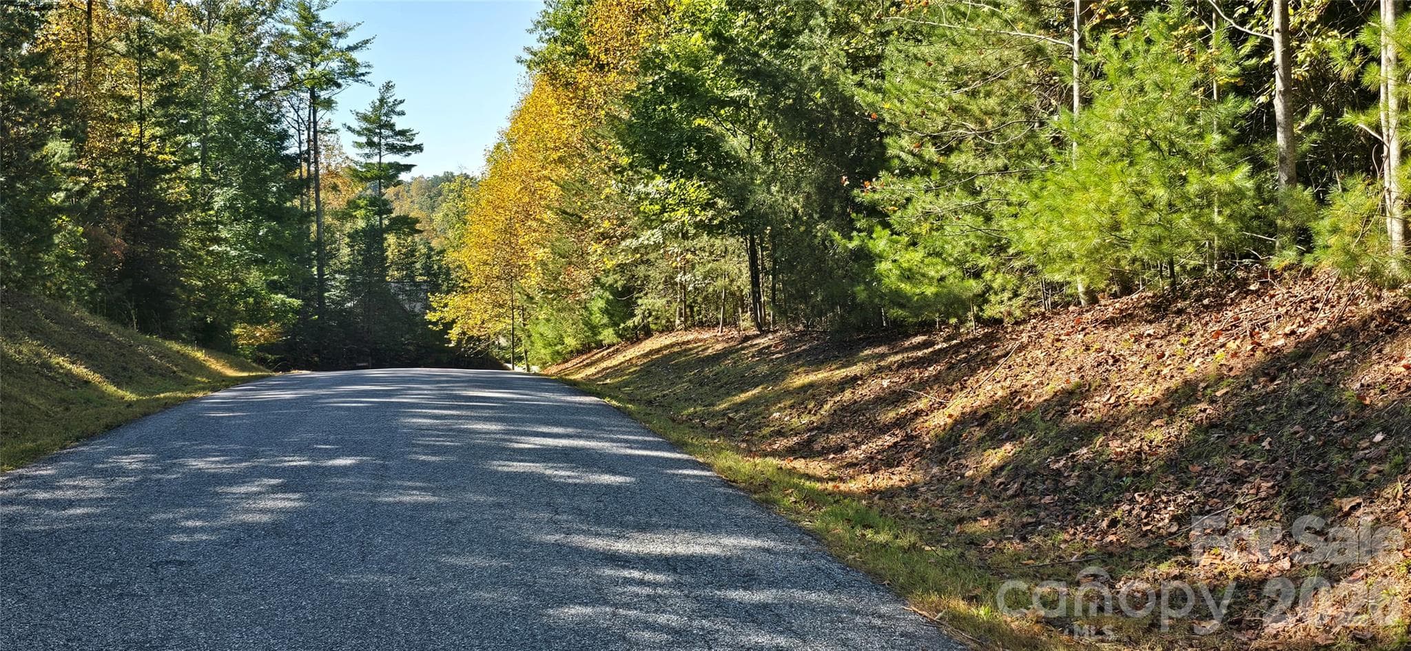 Street view - 208 Turning Leaf Drive, Nebo