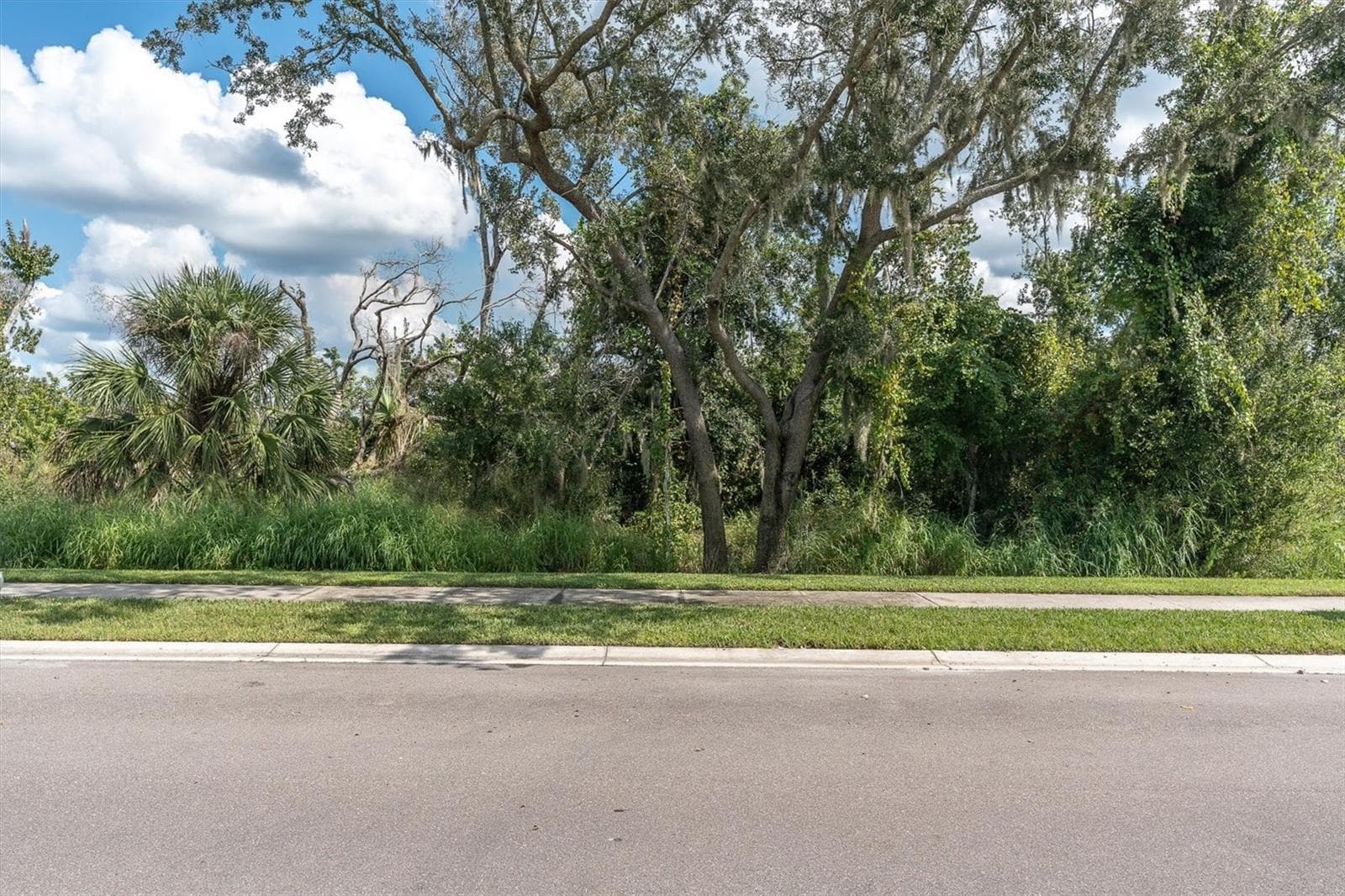 Conservation view from front of the door - 9921 PLUM RIVER DR, PARRISH