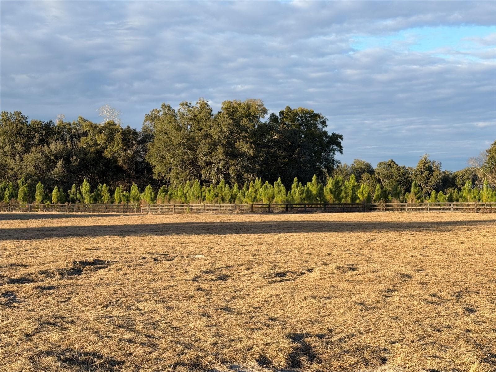 Land at 5215 SW 125TH CIR, ARCHER, photo 2 of 4