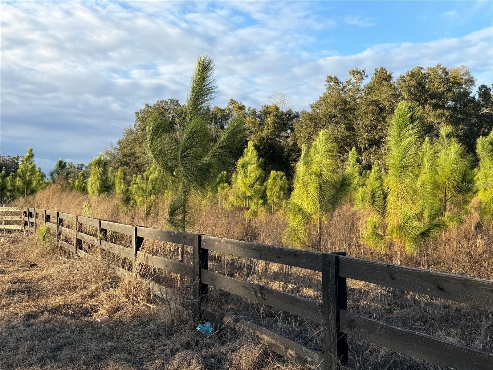Land at 5215 SW 125TH CIR, ARCHER, photo 3 of 4