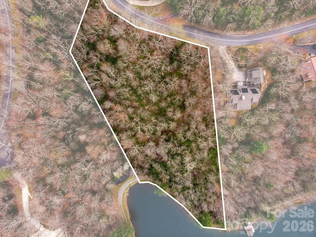 Lot at TBD Agaliha Lane, Brevard, photo 5 of 17