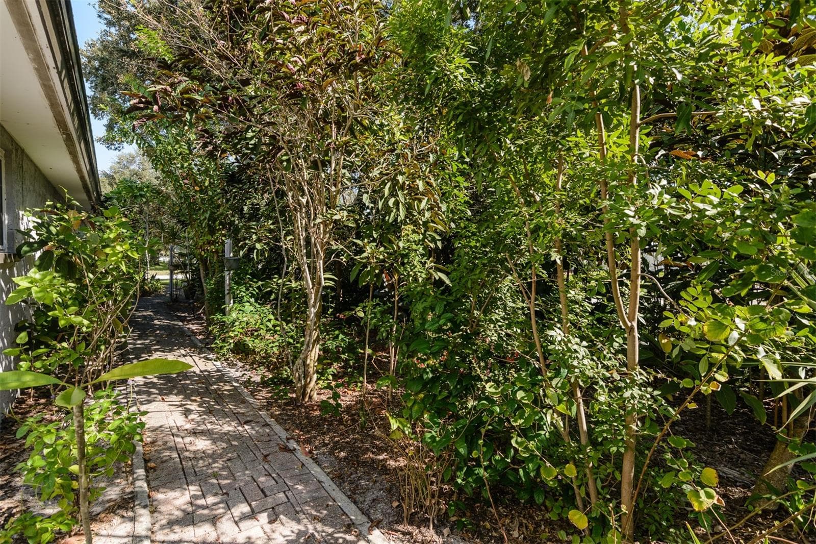 Single Family Residence at 2977 AMBLEGLEN CT, CLEARWATER, photo 54 of 56