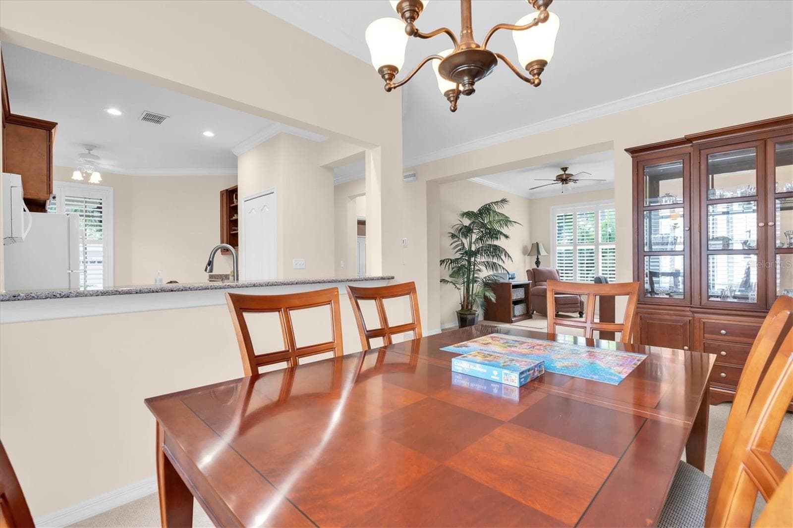 Single Family Residence at 4795 PEBBLE BROOK DR, OLDSMAR, photo 10 of 32