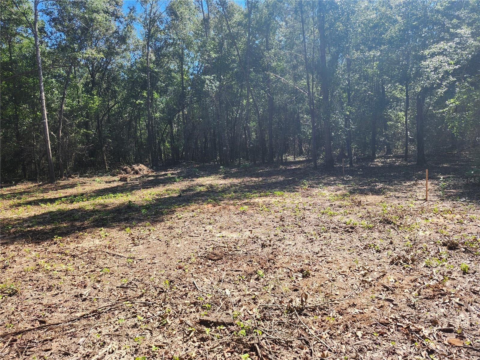 Land at MARCUS DR, GREENWOOD, photo 5 of 21