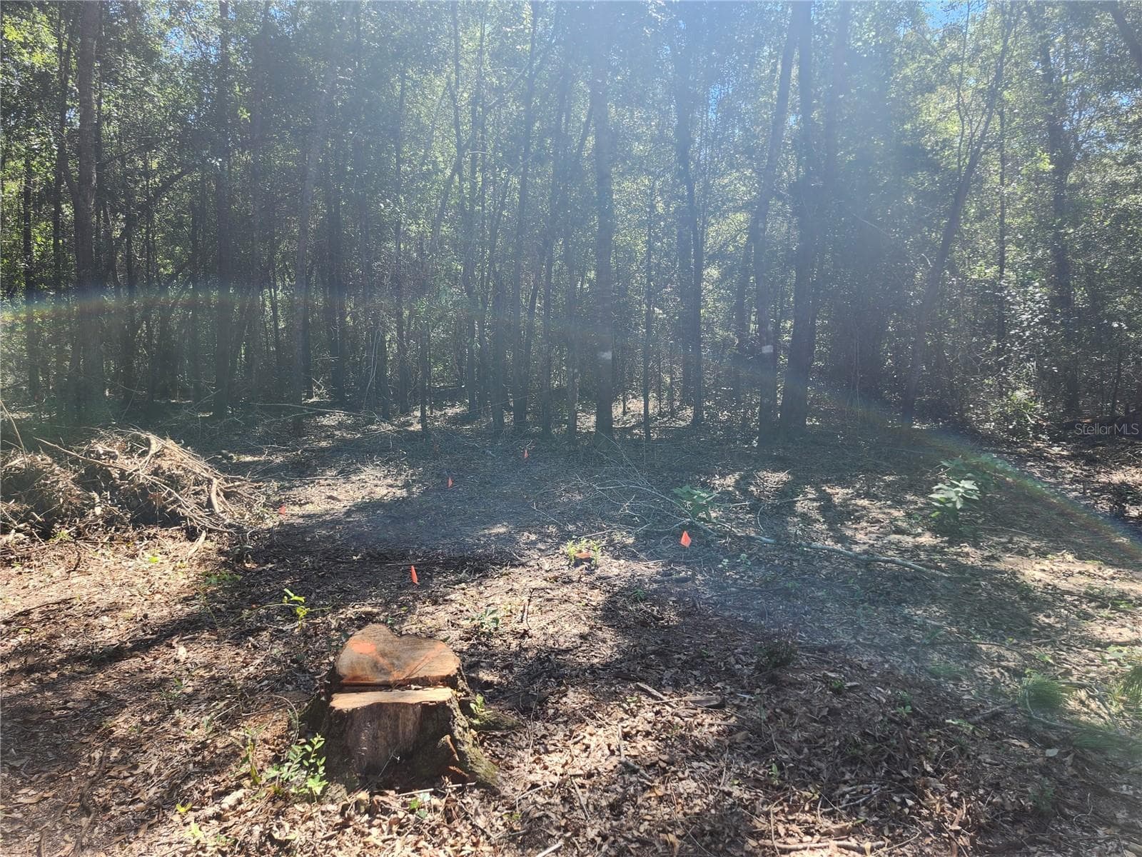 Land at MARCUS DR, GREENWOOD, photo 6 of 21