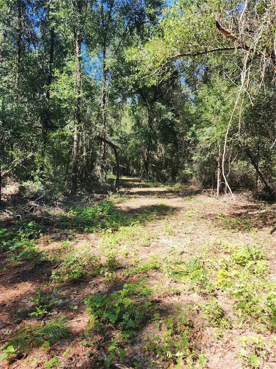 Land at MARCUS DR, GREENWOOD, photo 7 of 21