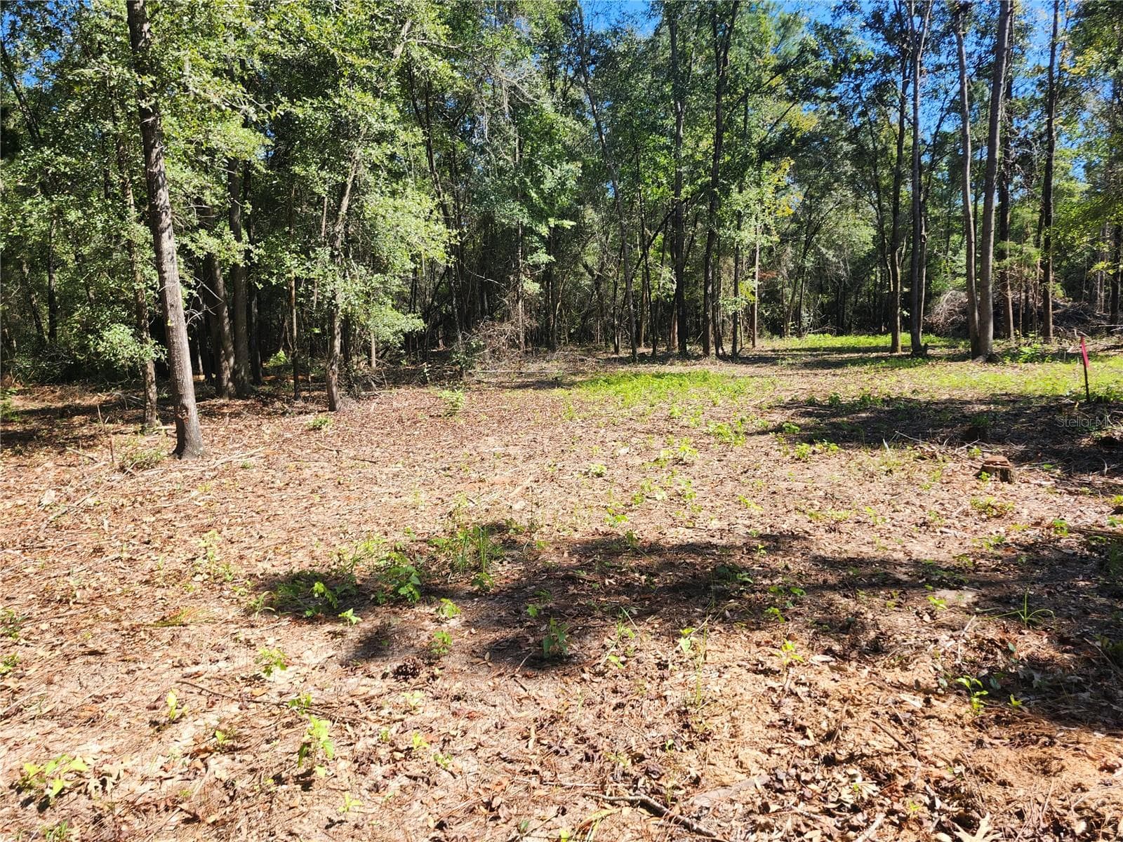 Land at MARCUS DR, GREENWOOD, photo 8 of 21