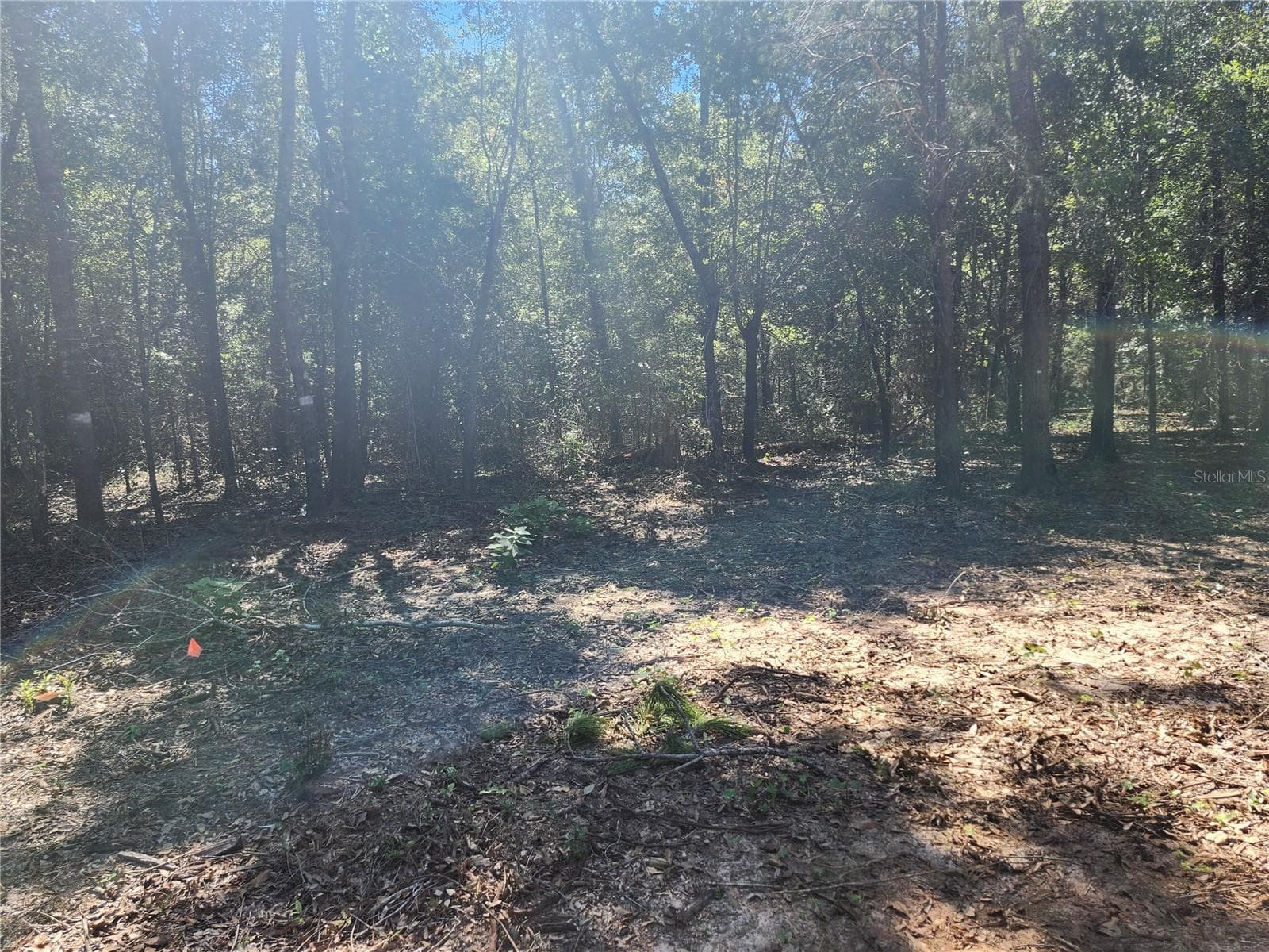 Land at MARCUS DR, GREENWOOD, photo 13 of 21