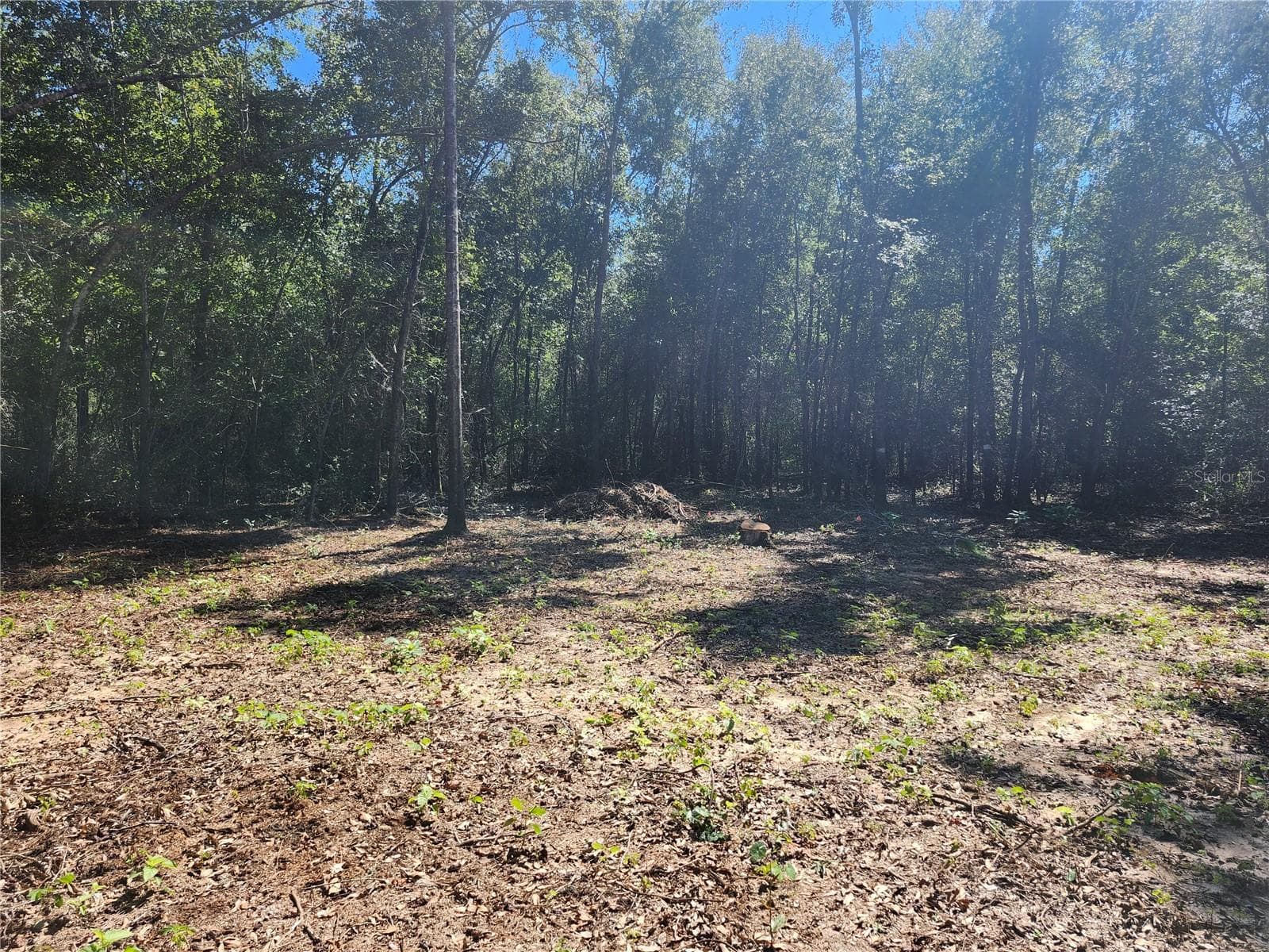 Land at MARCUS DR, GREENWOOD, photo 14 of 21