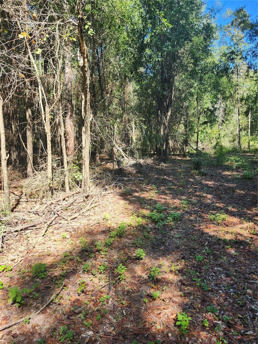 Land at MARCUS DR, GREENWOOD, photo 16 of 21