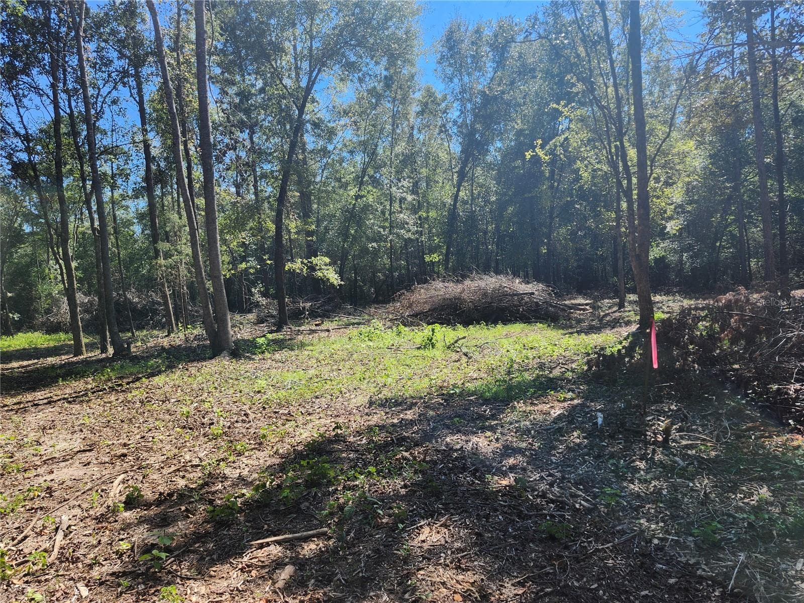 Land at MARCUS DR, GREENWOOD, photo 10 of 21