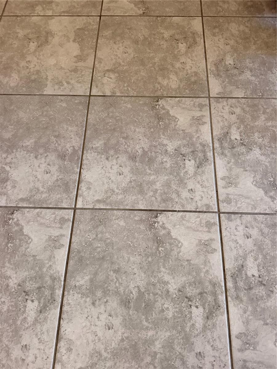 Tiles throughout the home - 910 SOFIA LN, DAVENPORT
