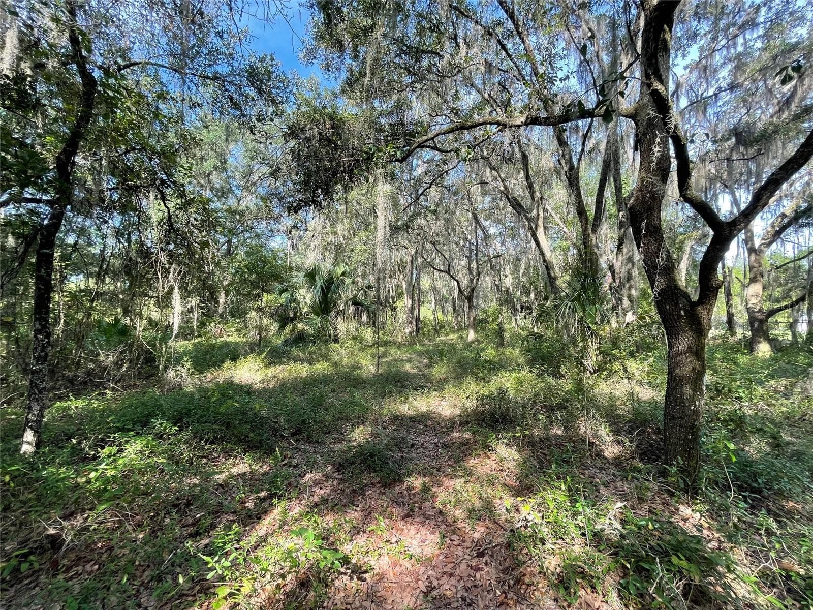 Land at LOTS 13 & 14 SW SHOREWOOD DR, DUNNELLON, photo 4 of 14