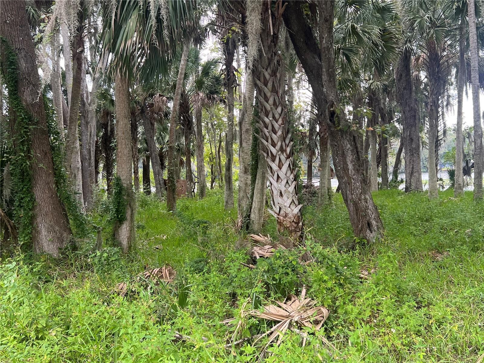 Land at HICKORY RD, ASTOR, photo 2 of 7
