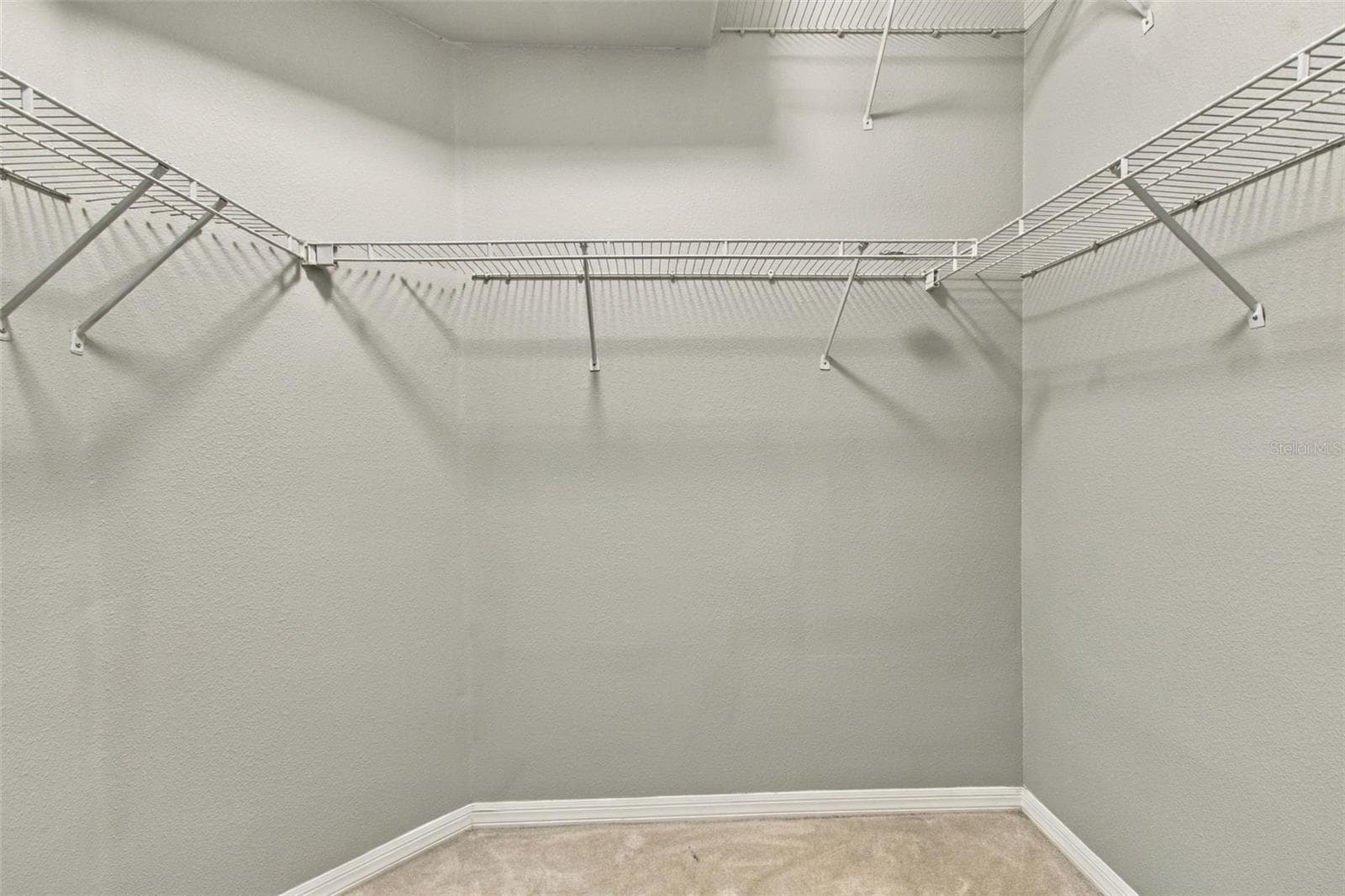 Primary Closet - 19108 CENTRE ROSE BLVD, LUTZ