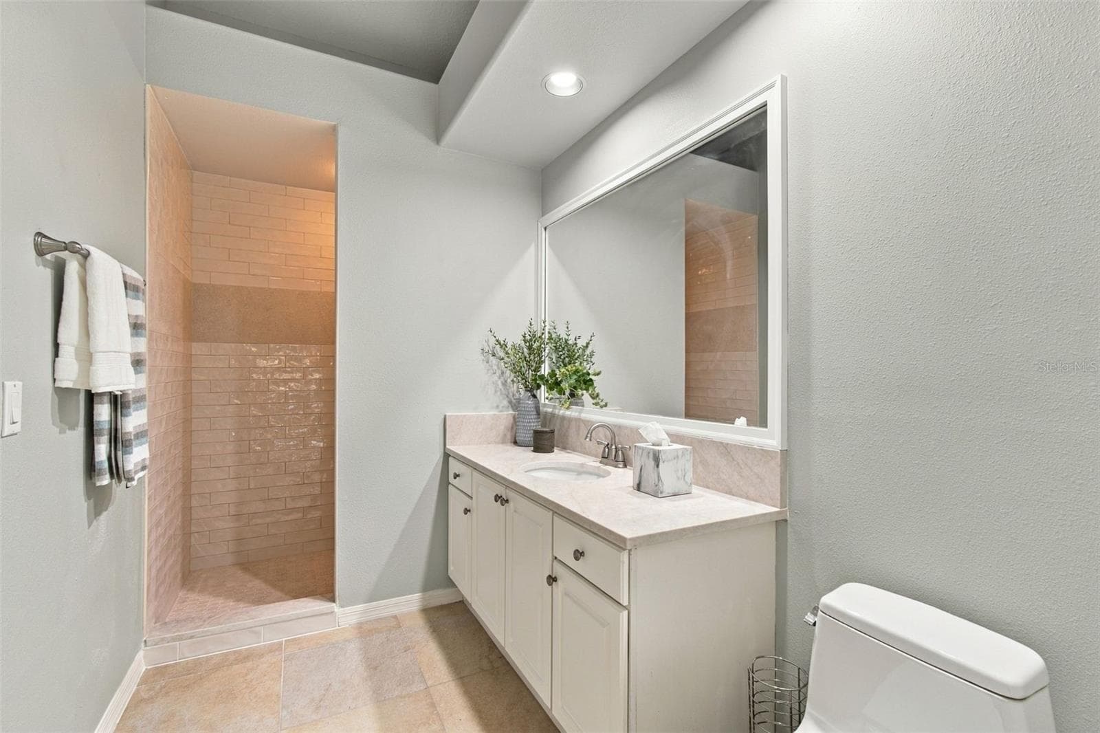 Pool Bath/3rd Bath - 19108 CENTRE ROSE BLVD, LUTZ