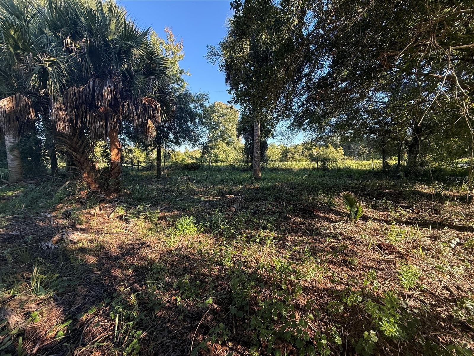 Land at 19515 NW 258TH ST, OKEECHOBEE, photo 2 of 6